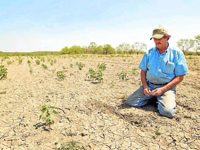 Agricultores serán denunciados por mal uso del recurso hídrico