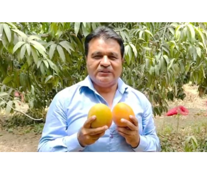 Santiago Paz se pronuncia ante la crisis de mango en la región Santiago Paz se pronuncia ante la crisis de mango en la región