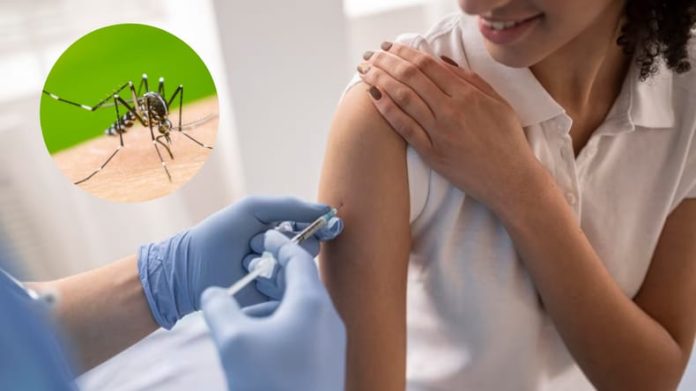 Piura lidera el plan piloto de vacunación contra el dengue buscando proteger a más de 106,000 menores Piura lidera el plan piloto de vacunación contra el dengue buscando proteger a más de 106,000 menores