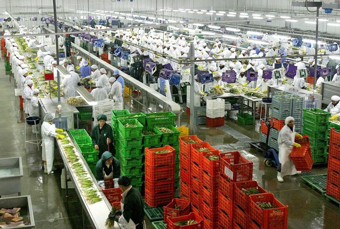 Piura registró envíos por US$ 4,161 millones en 2025 Piura registró envíos por US$ 4,161 millones en 2025